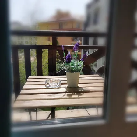 студио Sun Day в Royal Palm, влас Apartment