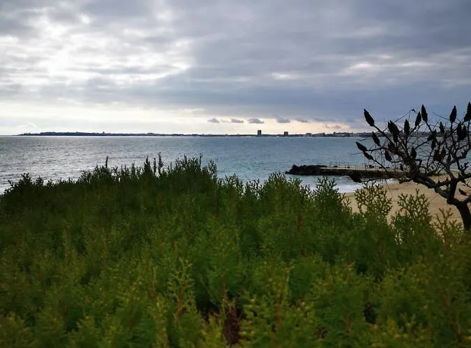 студио Sun Day в Royal Palm, влас Апартаменти Светий Влас